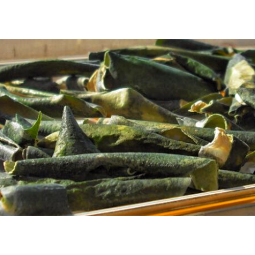 High Quality Waxgourd Peel Extract Powder
