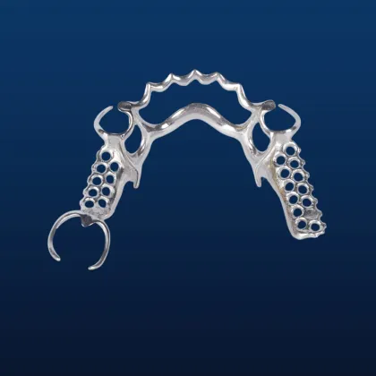 Bego Metal Partial Denture
