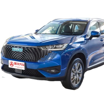 Haval H6 2022: 1.5T DHT-PHEV New Energy SUV