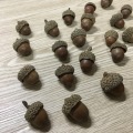 12pcs Artificial Acorns Lifelike Simulation Acorn with Natural Acorn Cap for DIY, Crafting, Wedding, House Decor