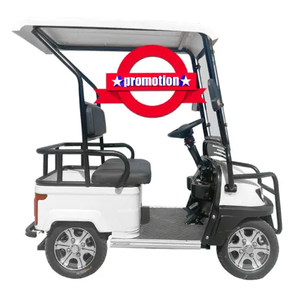 Affordable Golf Carts and Mini Jeeps: Under $1000 Options