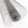 1/2 galvanized hexagonal chicken wire mesh