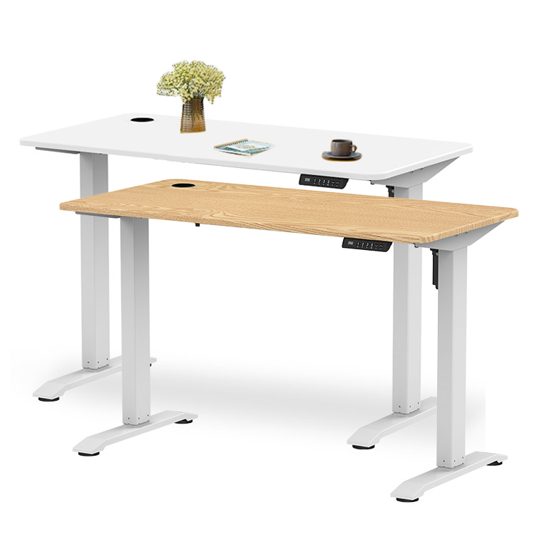 Electric Adjustable Standing Desk