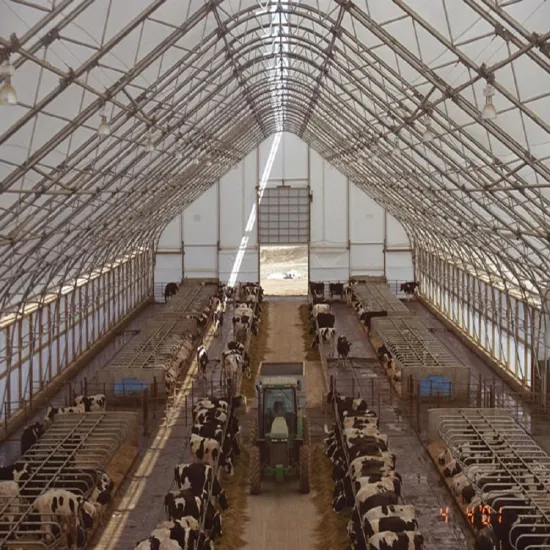 structure cow sheds designed