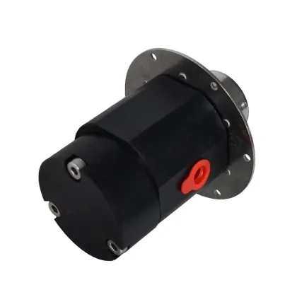 PEEK gear integrated gear pump