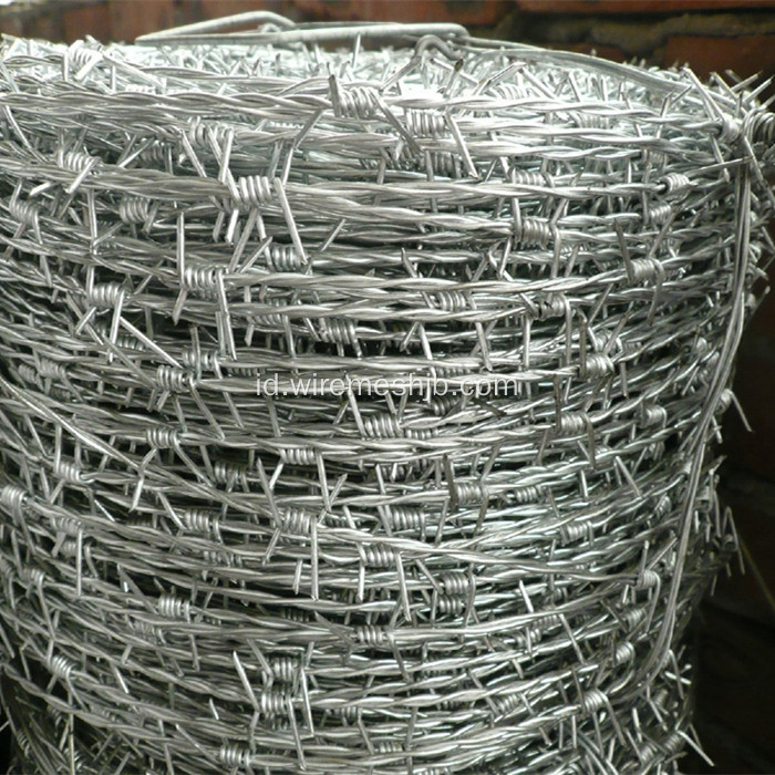 Hot-dip Galvanized Barbed Wire Untuk Keamanan Pagar