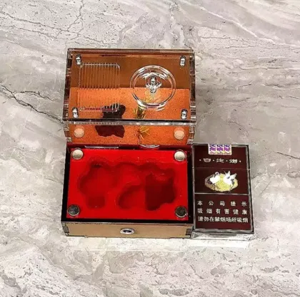 Ant Breeding Formicarium for School Science Popularization