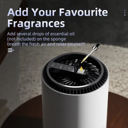 DOUHE OEM Factory Manufacturer Custom Tuya WiFi Control Smart Portable Mini Air Purifier