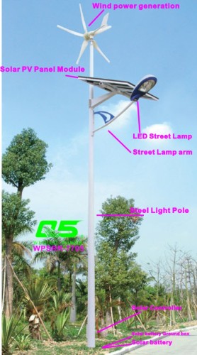 WPSRR-7705 3~15m Municipal Road Hot DIP Galvanized Steet Light Pole style