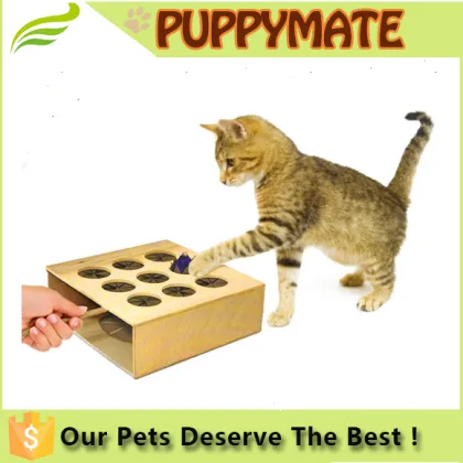 Lotte hamster pet cat toy authentic American treasure toy box