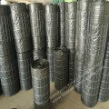 /msite/products/detail/productid/53441396/id/538516.html