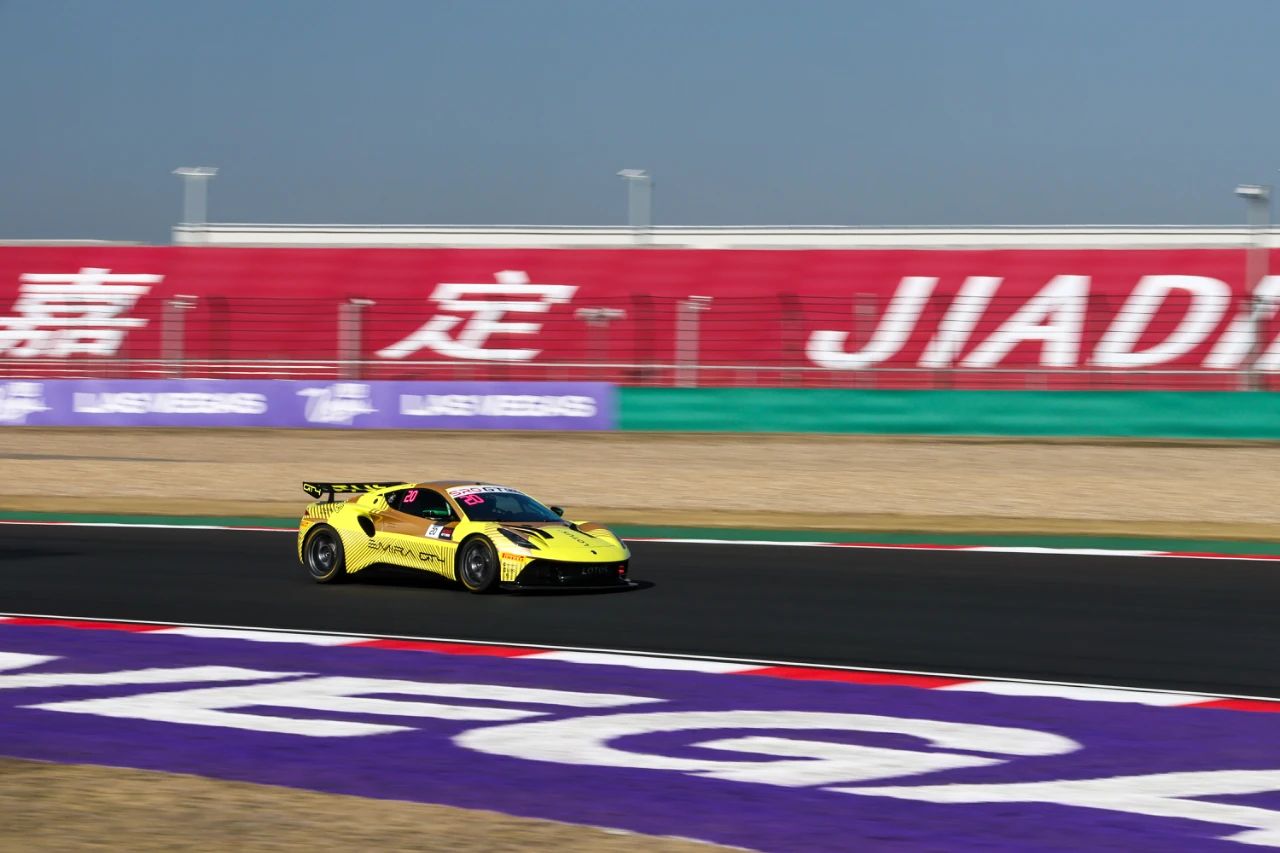 LOTUS11