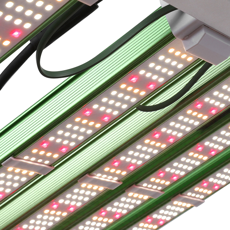 1000W LED GROW LIGHT (146)