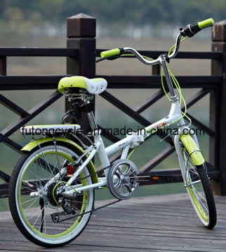 20" Folding Bike
