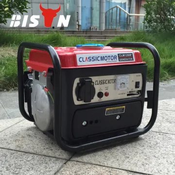 BISON(CHINA)Reliable Quality Portable Silent Type Price Mini Generator In Bangladesh