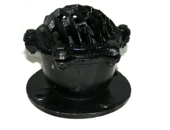 Flange  Low Price Lift Bottom Foot Valve