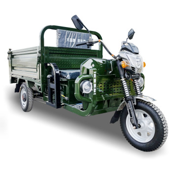 2024 Automatic Reverse Electric Tricycle - CE 60V 1000W Cargo Electric Tricycle with Dual Batteries and Motors