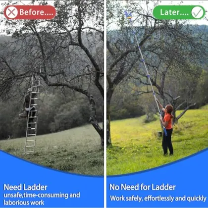 Telescopic Fruit Picker Pole for Apples and Avocados