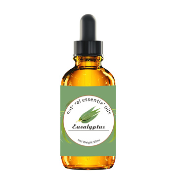 Factory Wholesale 100% Pure Essential Eucalyptus Oil with Best Price