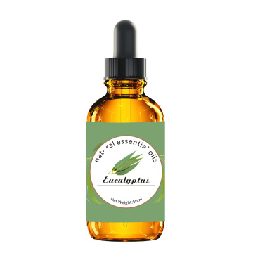 Huile d&#39;eucalyptus essentielle en gros d&#39;usine 100% pure avec meilleur prix