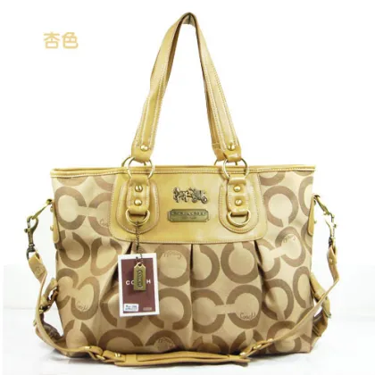 Lady used branded handbags famous brand handbags paypal 2011 popular handbags