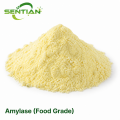 Food Grade Amylase for Starch Processing & Syrup Production