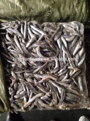 Frozen Anchovy