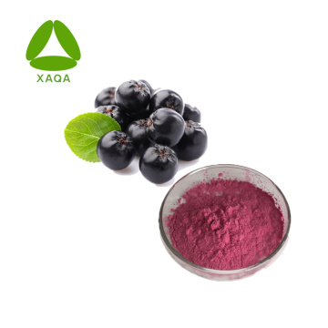 Ren naturlig aronia svart chokeberry fruktjuice pulver