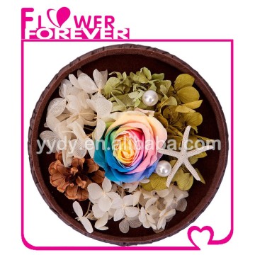 Perfect Anniversary Gift Preserved Rose