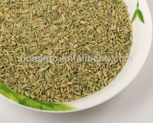 Chinese fennel seed