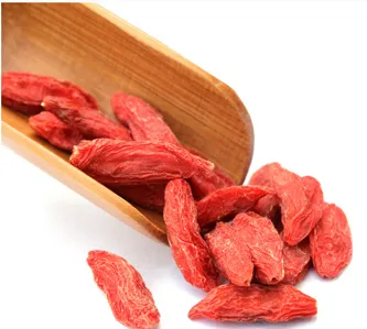 DRIED GOJI BERRY, CHINESE GOJI BERRY, ORGANIC GOJI BERRY