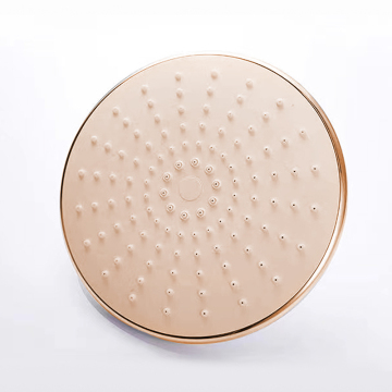 Brushed Gold Round Vintage Antique Shower Head