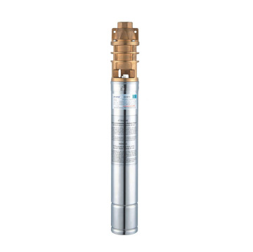 AC 220V 1HP Vertical Borehole Submersible Pump for Irrigation Agriculture