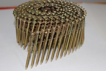 Galvanized Wire Collated Screw (Square Head) for Furnituring, Industry