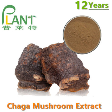 ผงสารสกัดจากเห็ด Chaga อินทรีย์โพลีแซ็กคาไรด์