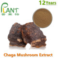 Poudre d&#39;extrait de champignon Chaga polysaccharide organique