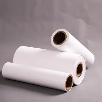 Transparent/White Polyvinylidene fluoride PVDF Film