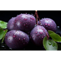 Prunus salicina Lindl.Extract