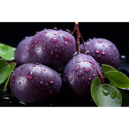 Prunus salicina Lindl.Extract