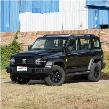 GWM Tank 300: Chinese Hot Sale Gasoline SUV in Stock - Cheap