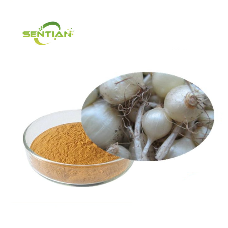 bulbus allii macrostemi extract