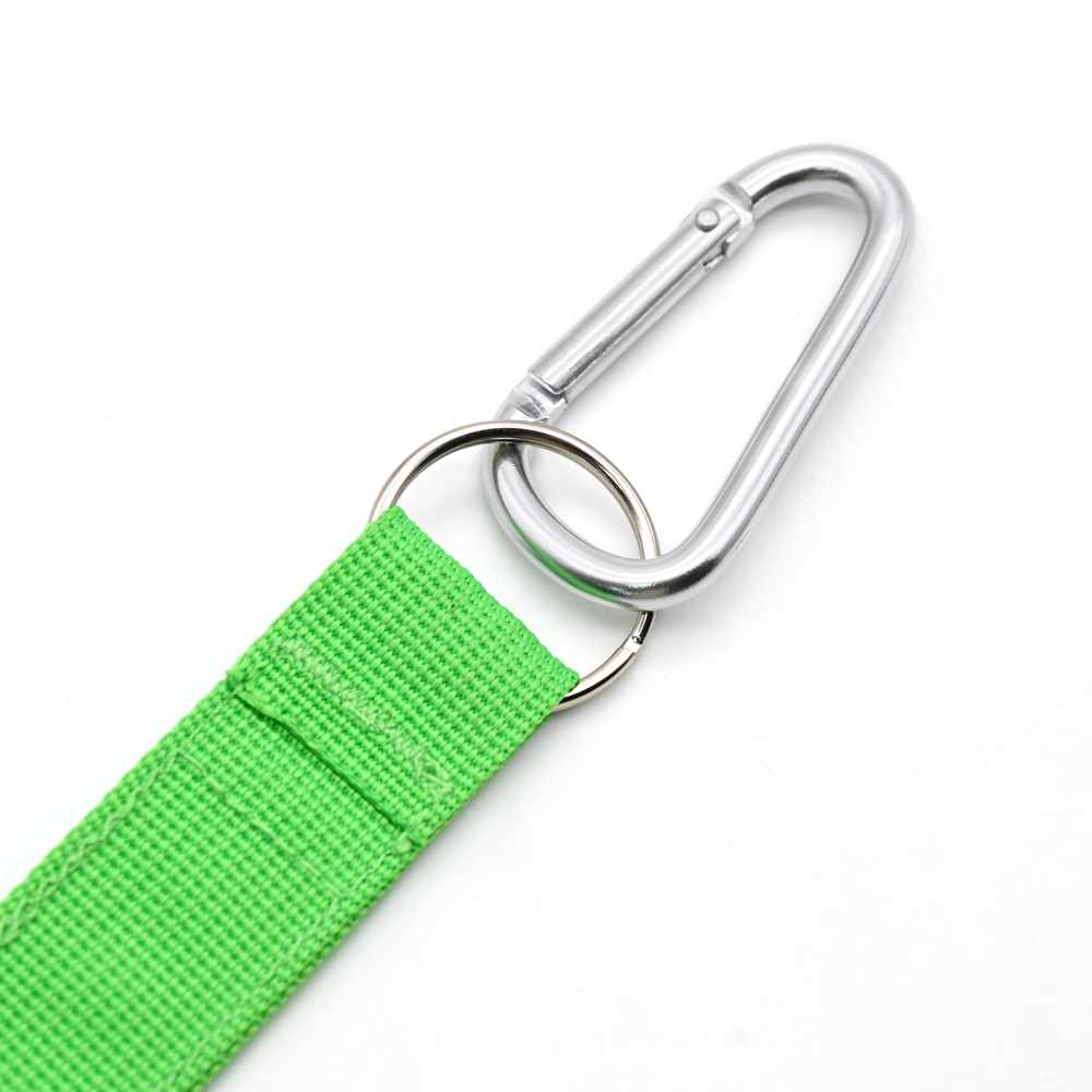Carabiner Keychain Carabiner Keychain