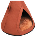 puppy dog litter cat litter warm house