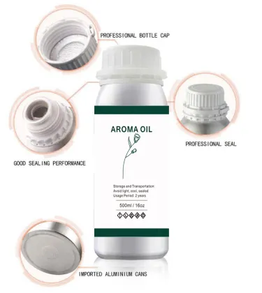 Grand Hyatt Hotel Scent: Wholesale Aroma Diffuser Essential Oils for Home Fragrance - 500ML Reed Diffuser