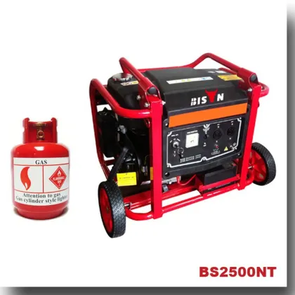 BISON(CHINA) Liquefied Petroleum Gas Power LPG Gas Generator