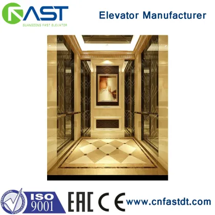 FAST Environmental Protection and Energy Saving Elevator Lift