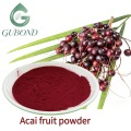 مسحوق الآكاي المجفف بالرش مع الأنثوسيانين
