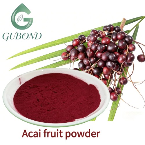 مسحوق الآكاي المجفف بالرش مع الأنثوسيانين