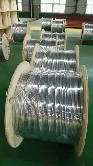 ASTM A269 TP316L Coil Tube