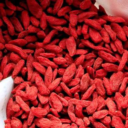 Organic Goji Berry Dried Red Medlar Berries